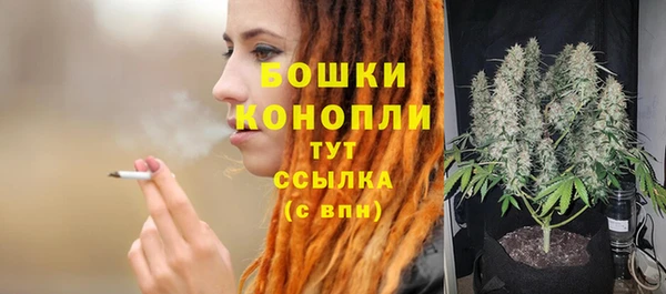 прущая мука Чегем