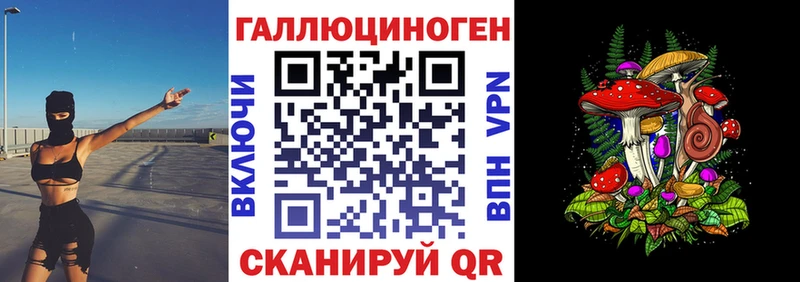 цены наркотик  Пласт  Галлюциногенные грибы GOLDEN TEACHER 